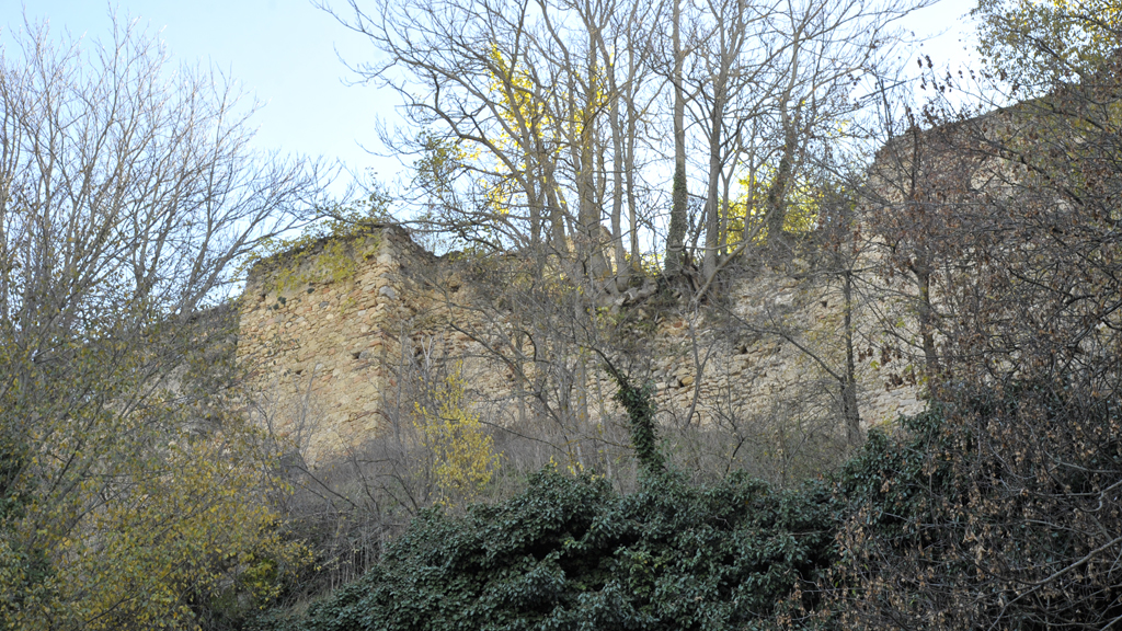 La vegetación oculta la Muralla en este tramo de la zona Norte del monumento, que está declarado BIC desde 1949, e incluso ha colonizado su paño. / Kamarero
