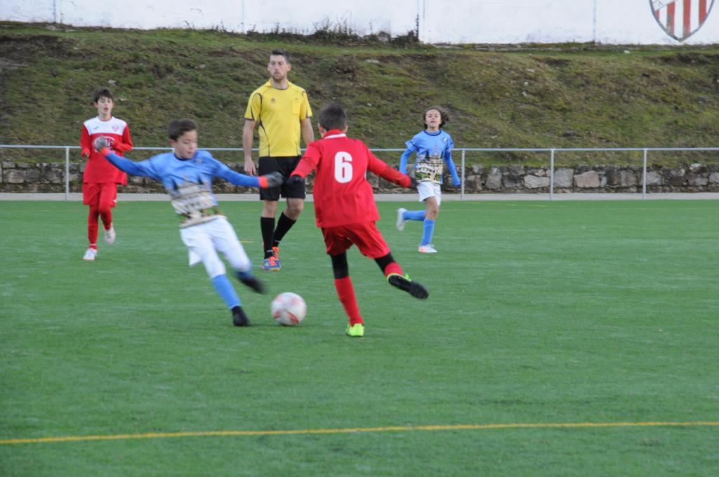 En el campeonato participarán equipos de categorías benjamín y alevín. / C. D. La Granja