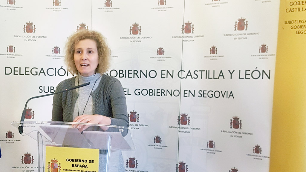 La subdelegada del Gobierno presentó el dispositivo electoral./KAMARERO