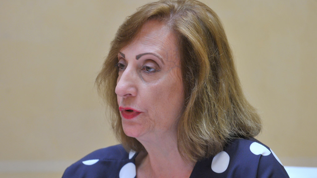 La concejala de Ciudadanos, María José García Orejana. / El Adelantado