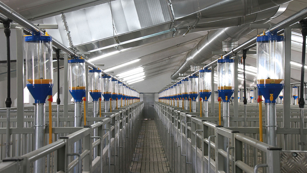 Las instalaciones podrán visitarse de forma ininterrumpida hasta las 16.00 horas