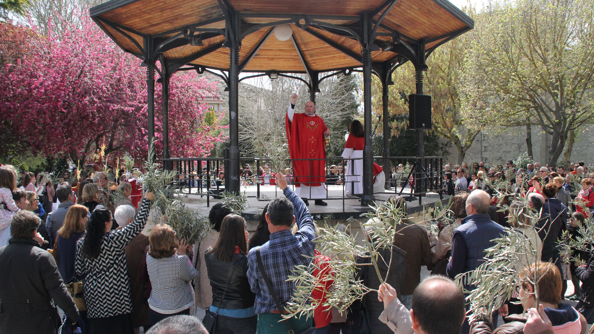 Domingo de Ramos 2019 en Cuéllar