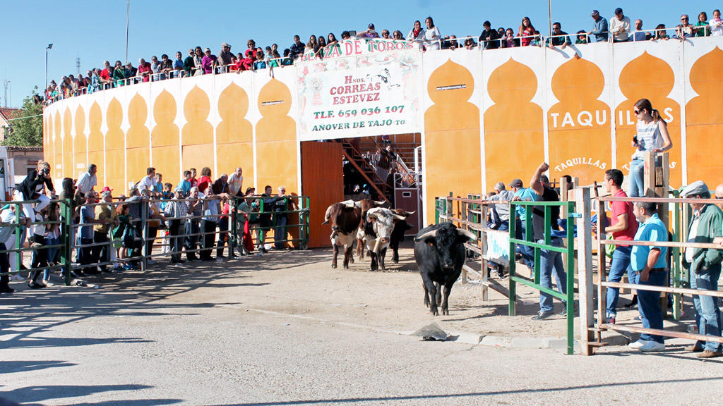 Imagen de archivo de un festejo taurino en la plaza de toros de Carbonero. / el adelantado