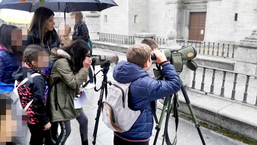 Los escolares, descubriendo las aves urbanas de su pueblo. / el adelantado