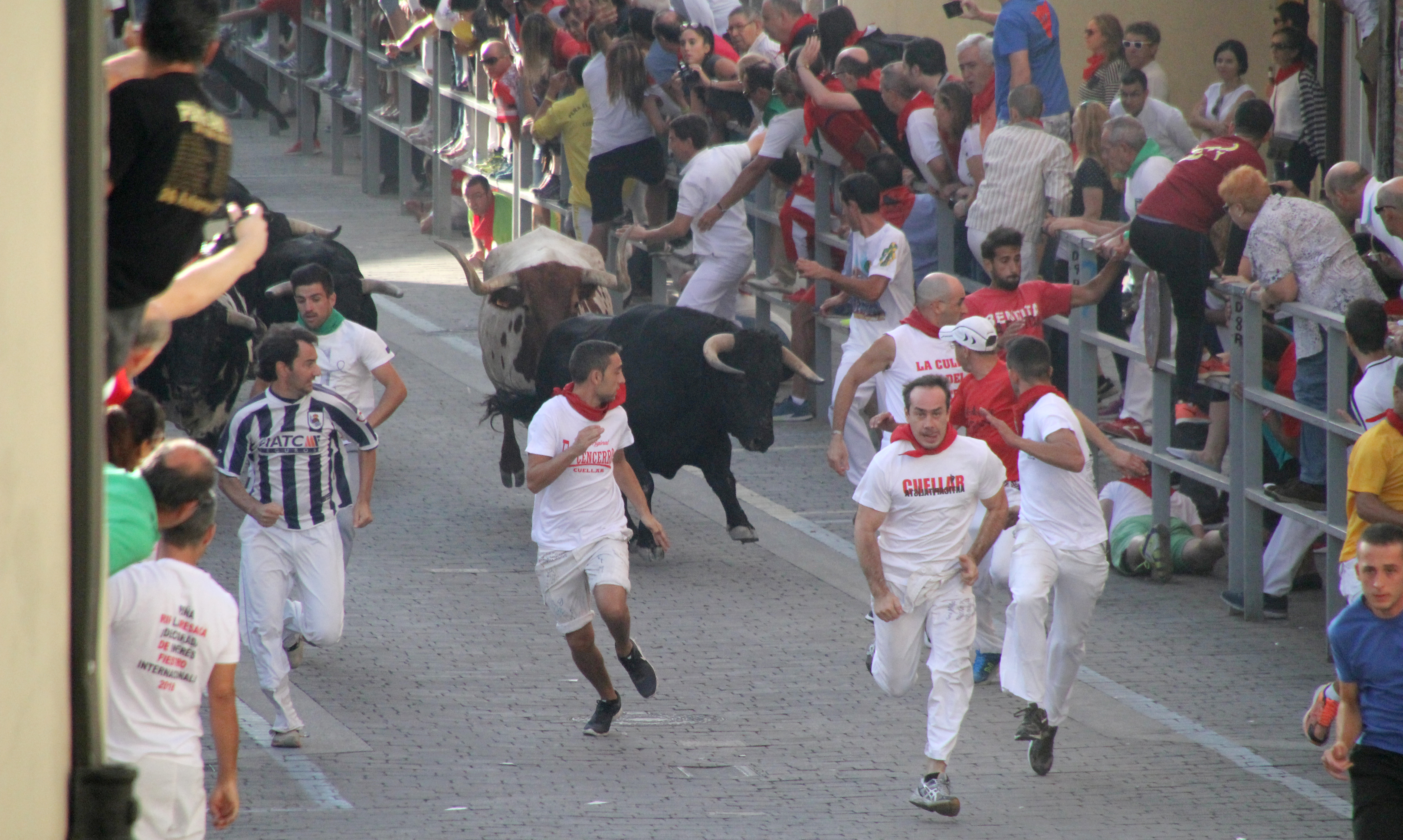 Encierro ganadería Lagunajanda