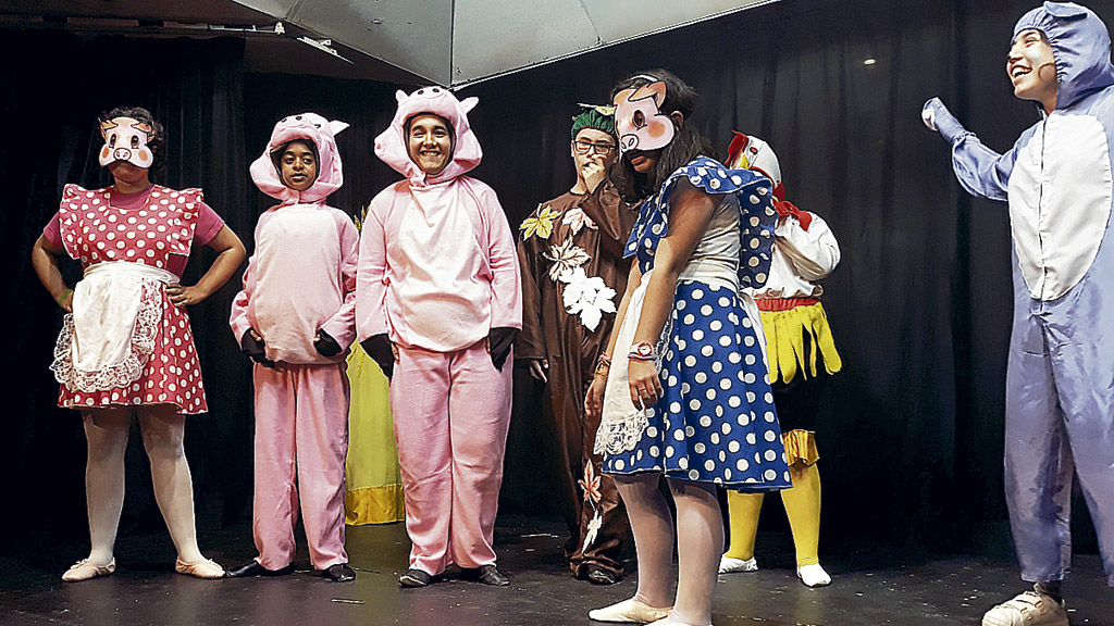 Grupo de teatro del centro Nuestra Señora de la Esperanza de Segovia, en la pasada edición. / el adelantado