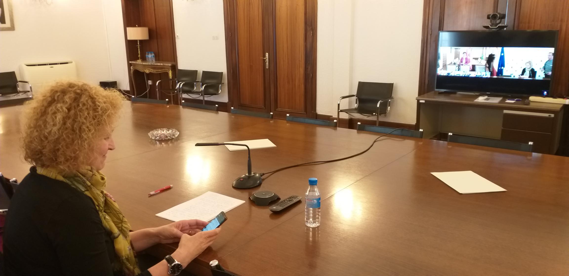 La subdelegada del Gobirno, en la videoconferencia./M.G.