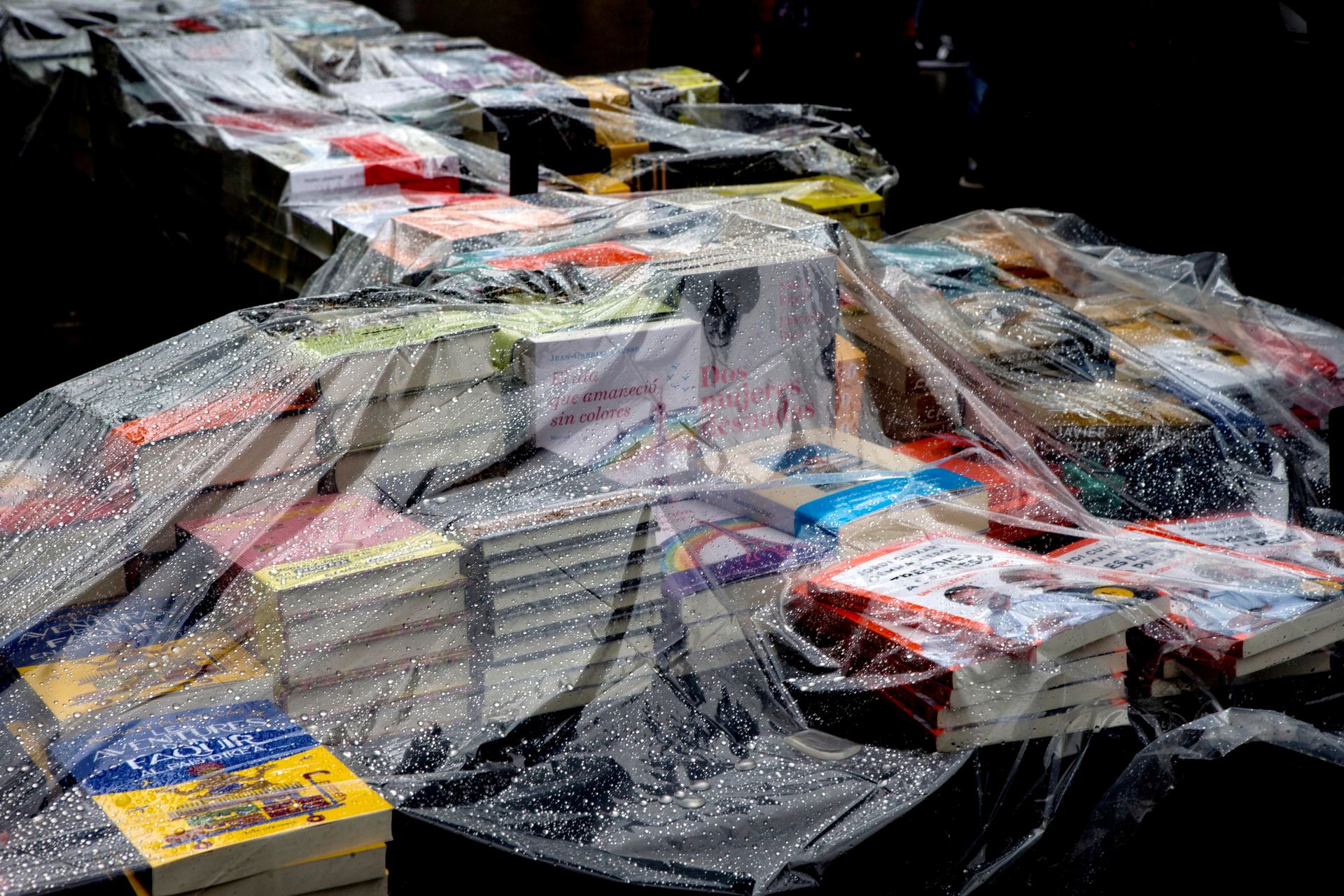 La tradición manda regalar una rosa a las mujeres y un libro a los hombres.