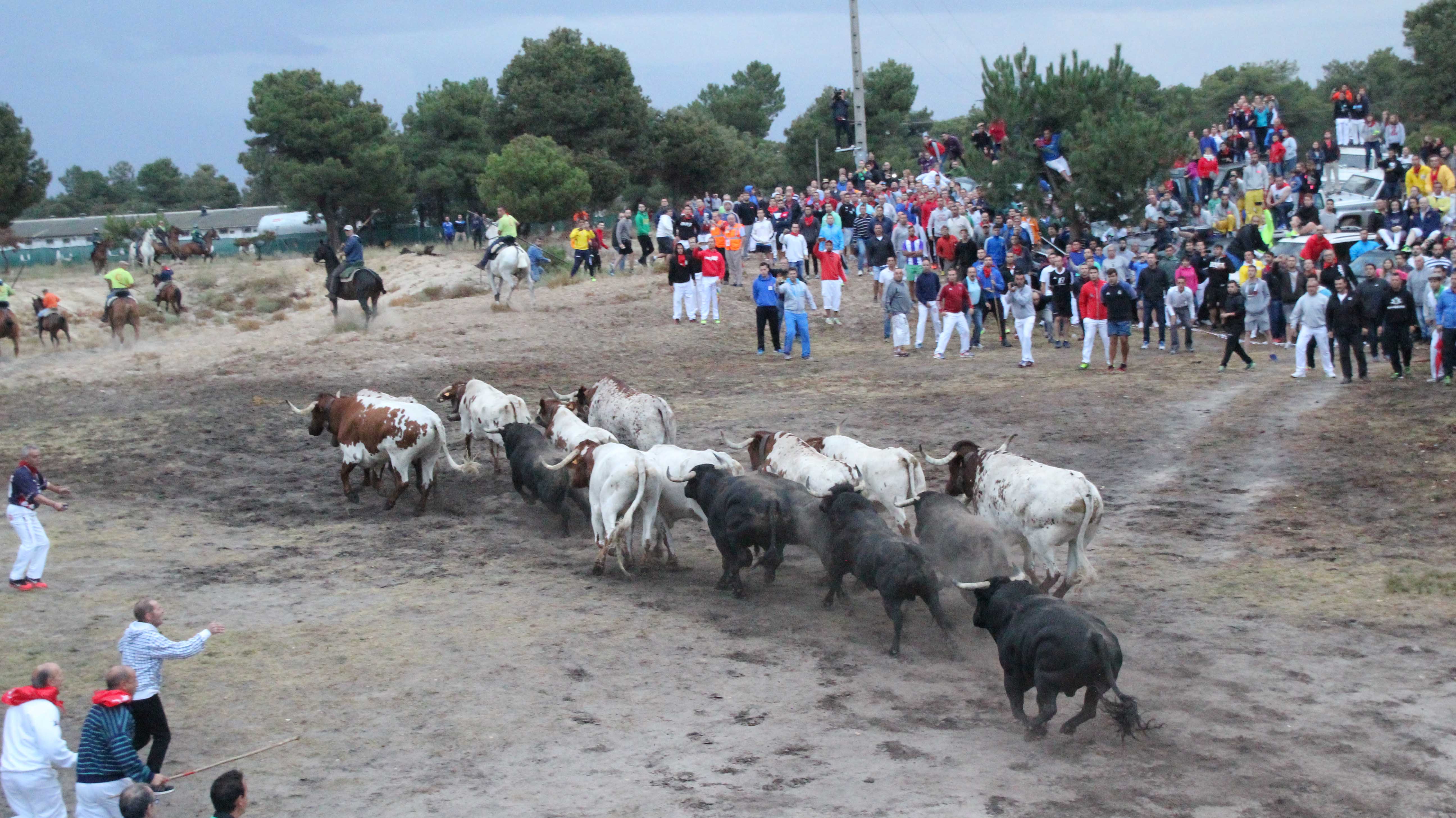Encierros de Cuéllar