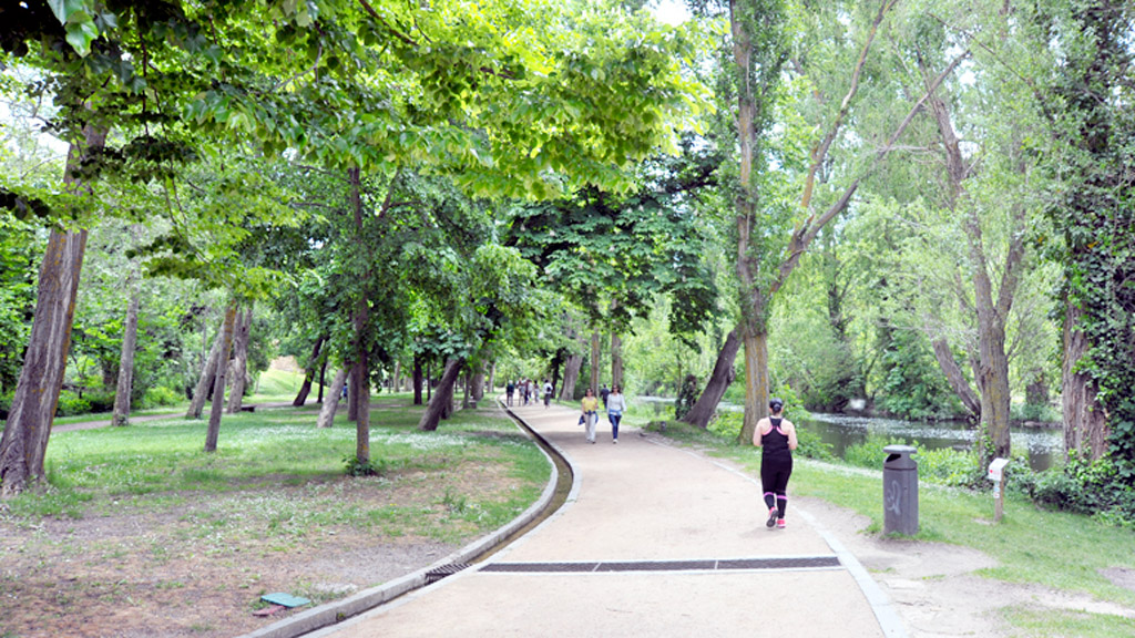 Alameda del Parral, en la ribera del río Eresma. / Kamarero