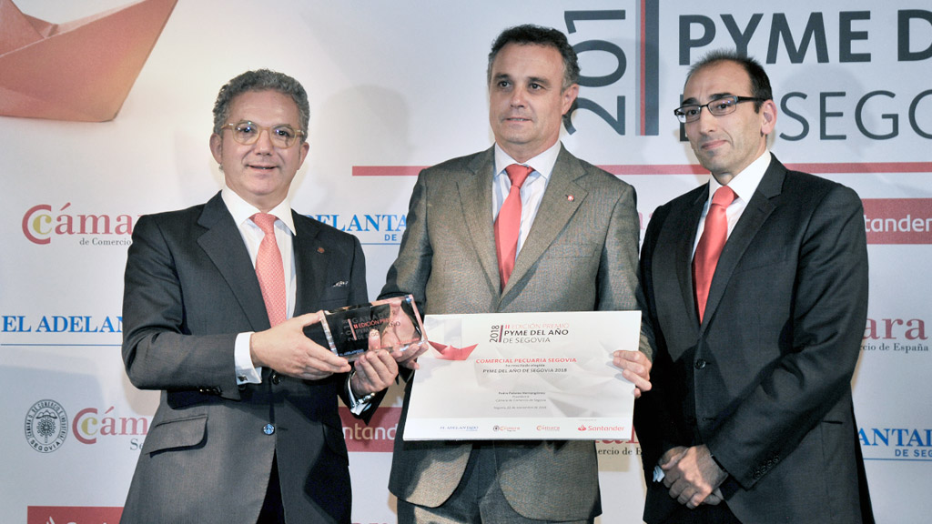 Un momento de la entrega de los galardones de la primera edición de los premios Pyme del Año de 2018. / kamarero