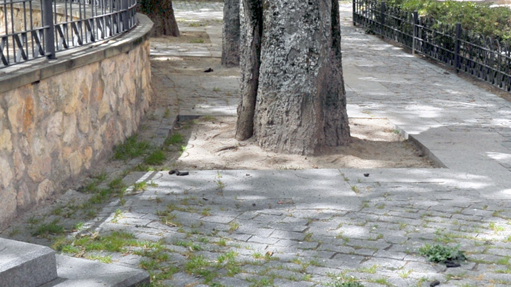 Uno de los rincones de la plaza de Santa Eulalia esta semana. / Kamarero
