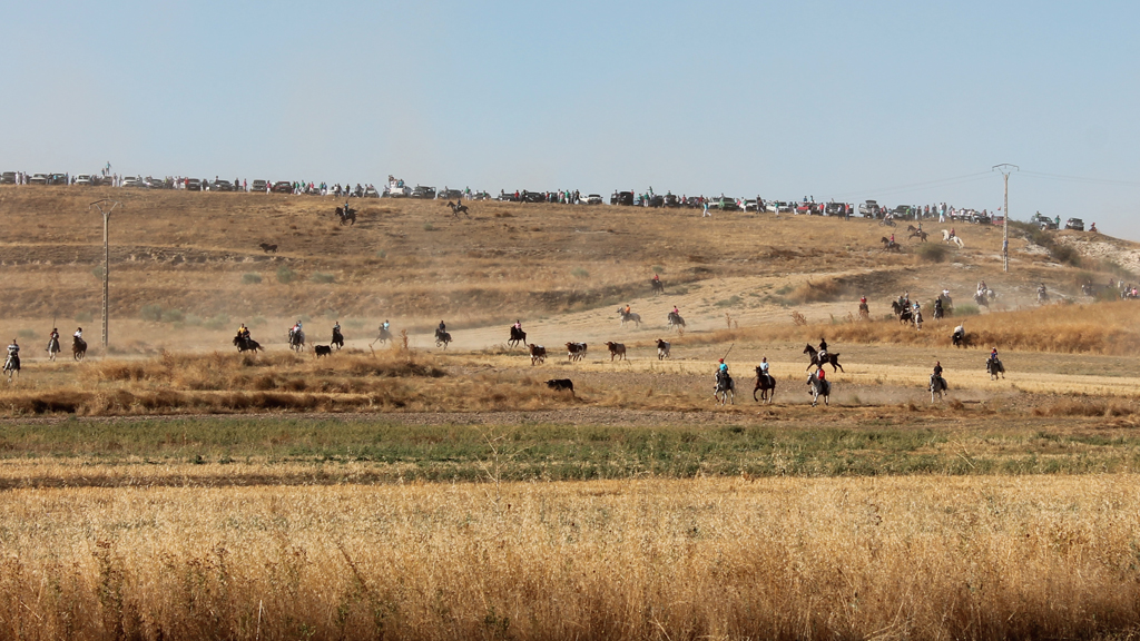Los hechos por los que se acusa al concejal se registraron en un encierro de las pasadas fiestas. / P.L.