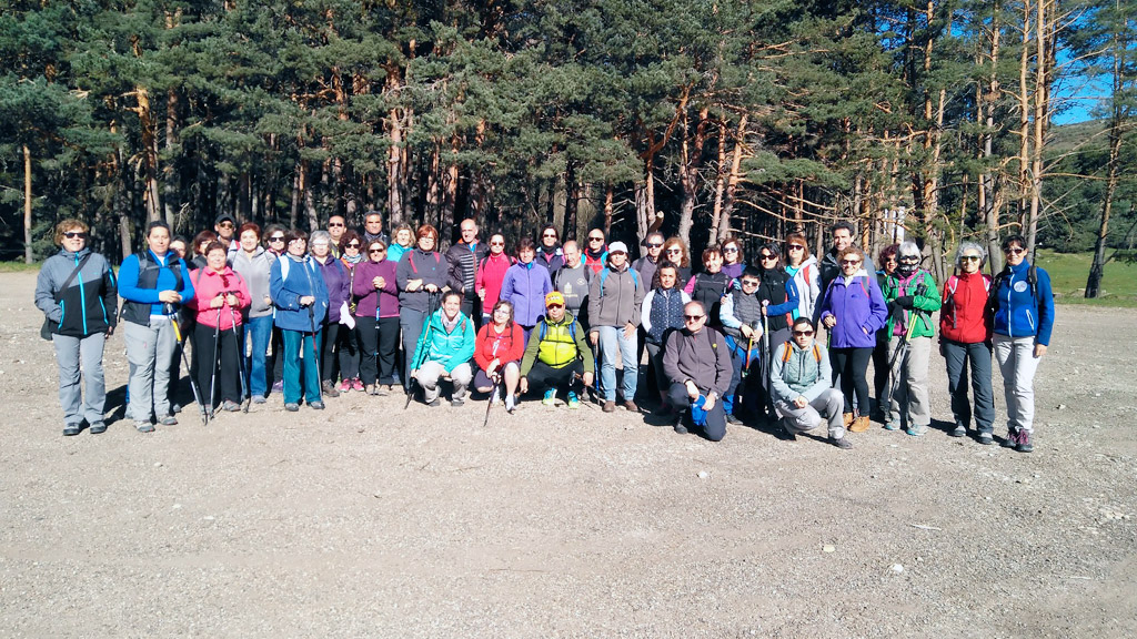 En el recorrido se pudo apreciar un claro exponente de bosque de pino silvestre dedicado a la explotación maderera y conocer el oficio de la gabarrería.