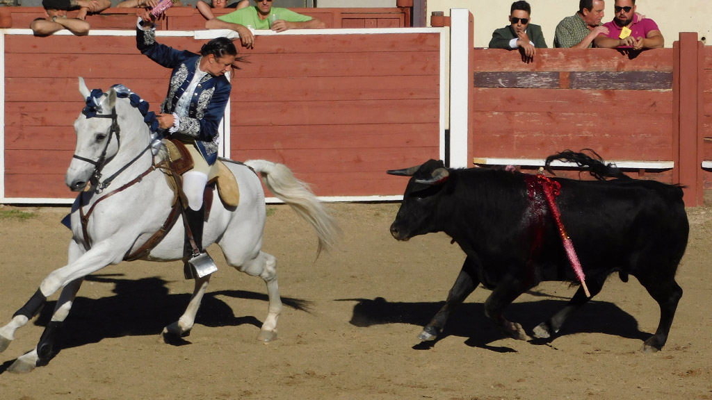 Ana Rita y Mario Pérez Langa mostraron calidad y buen toreo.