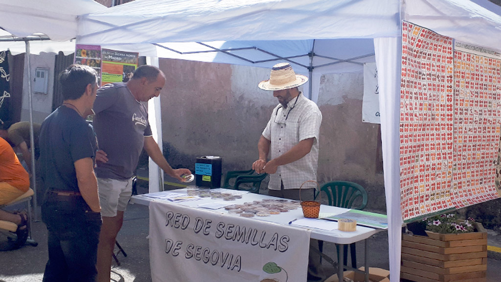 La Red de Semillas celebra el Intercambio de Primavera en La Losa 1 La Red se desplaza este fin de semana a La Losa. / el adelantado