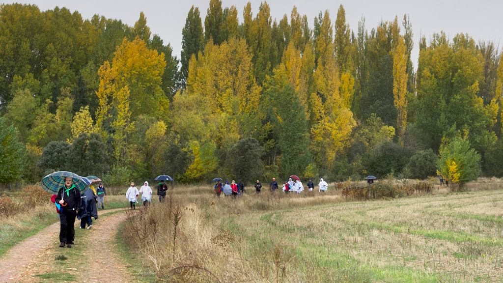 La Junta niega la supuesta privatización del Camino de San Frutos 1 Participantes en una ruta por el Camino de San Frutos. / kamarero