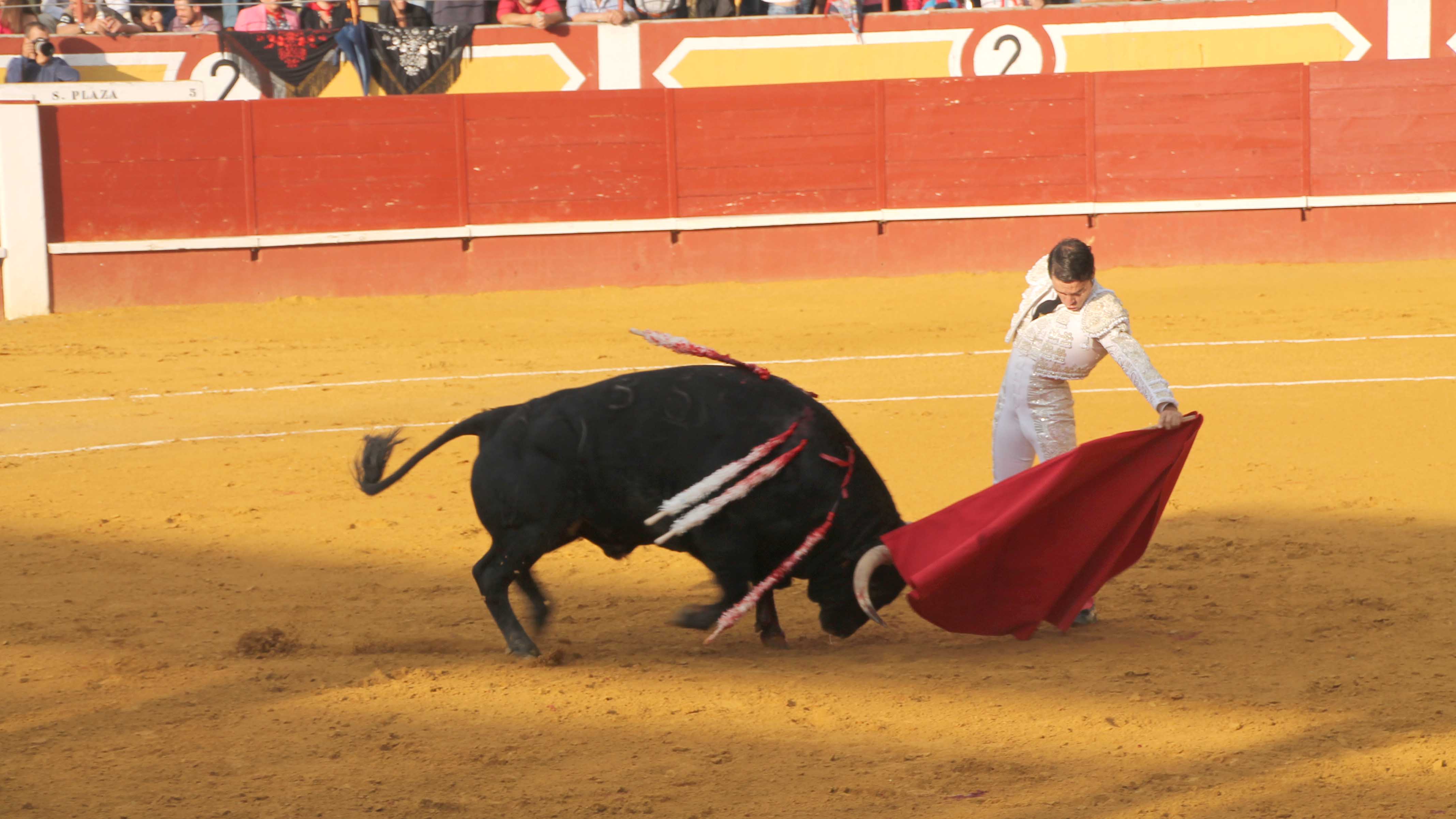 El domingo 19 de mayo, novillada homenaje en Cuéllar a partir de las 18.30 horas. / c. núñez