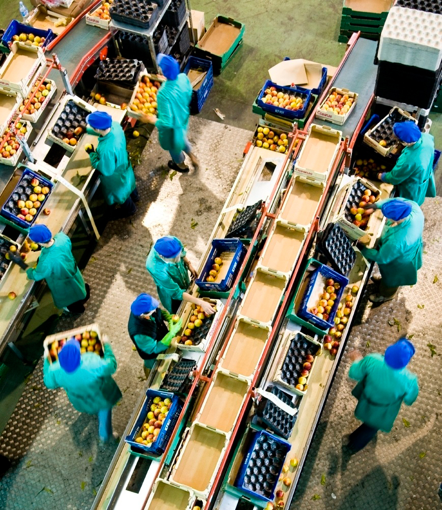 Tres meses de caídas no se registraban desde el 2014. / europa press