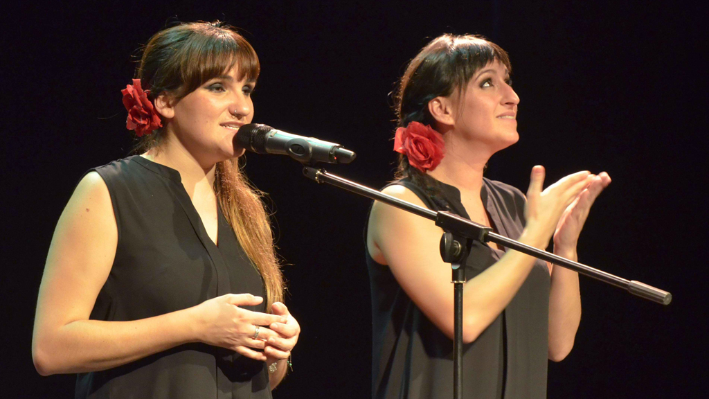 La cantante Rozalén, durante un concierto. / El Adelantado