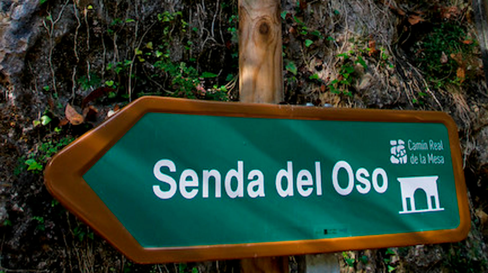 senda de oso