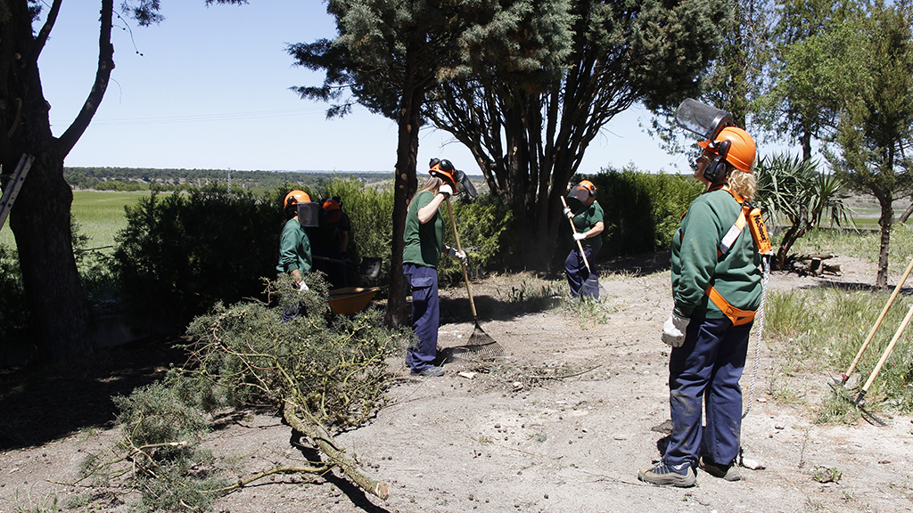 Trabajos de mantenimiento forestal. / NEREA LLORENTE
