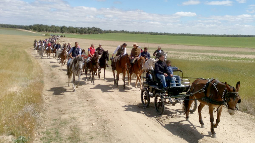 La feria tendrá lugar en la emblemática plaza de toros de la localidad. / El Adelantado
