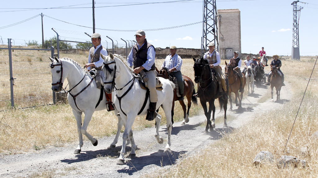 Una veintena de caballistas realizaron la ruta por los alrededores de la villa. / Nerea Llorente