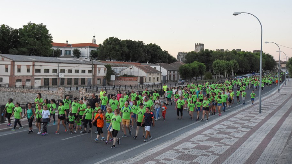 El recorrido será de baja dificultad apto para personas con movilidad reducida. / David Rubio