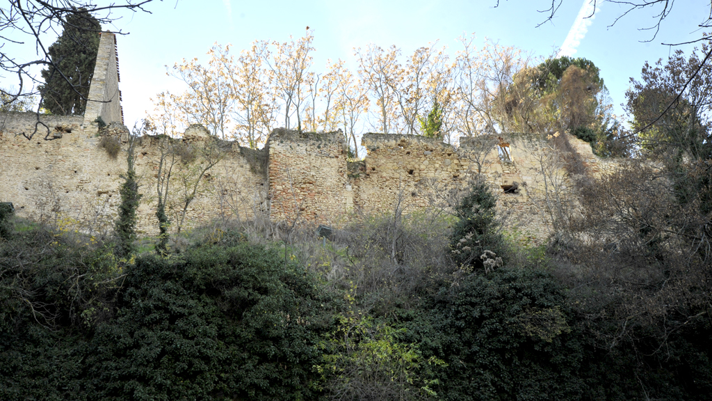 La vegetación casi oculta la Muralla en este tramo de la zona norte del monumento, que fue declarado Bien de Interés Cultural en 1949. / Kamarero