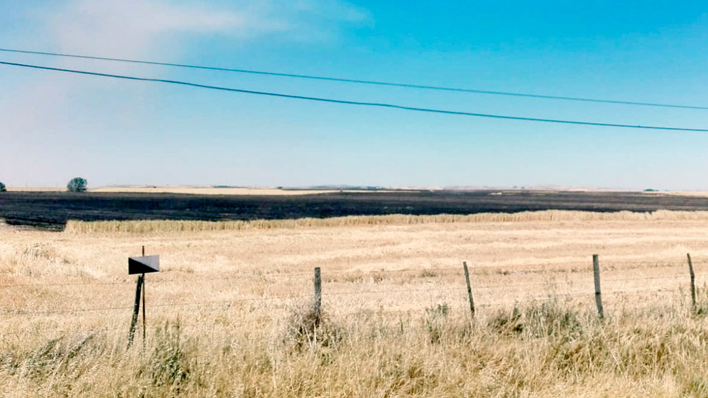 Una imagen de cómo han quedado las tierras de cultivo calcinadas por el incendio a la salida de Jemenuño. / El Adelantado
