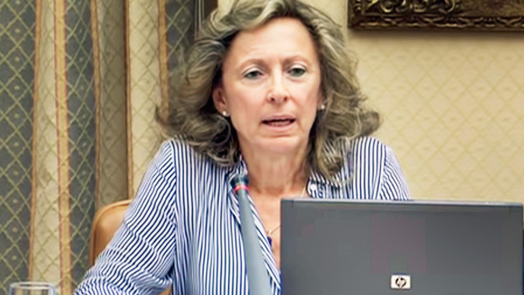 Cristina Liras, madre del joven segoviano que falleció en la tragedia del Alvia 
de Santiago, compareció en la comisión del Congreso de los Diputados. / E. A.