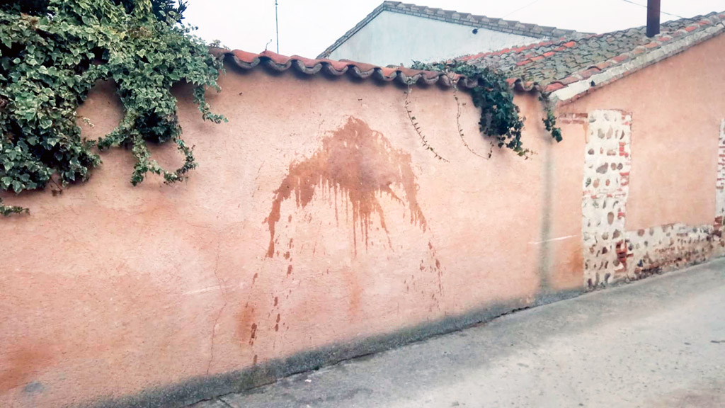 Las manchas en las fachadas de las viviendas aparecieron en distintas ocasiones. / el adelantado