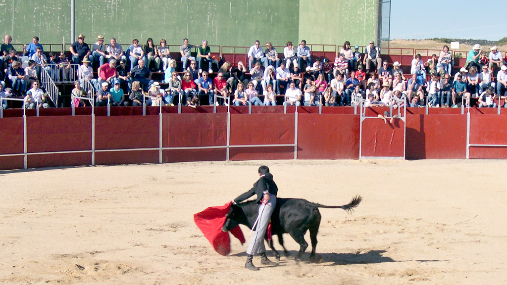 Luis Rivero toreó con mucha clase en la novillada de Navas de San Antonio./PABLO PASTOR