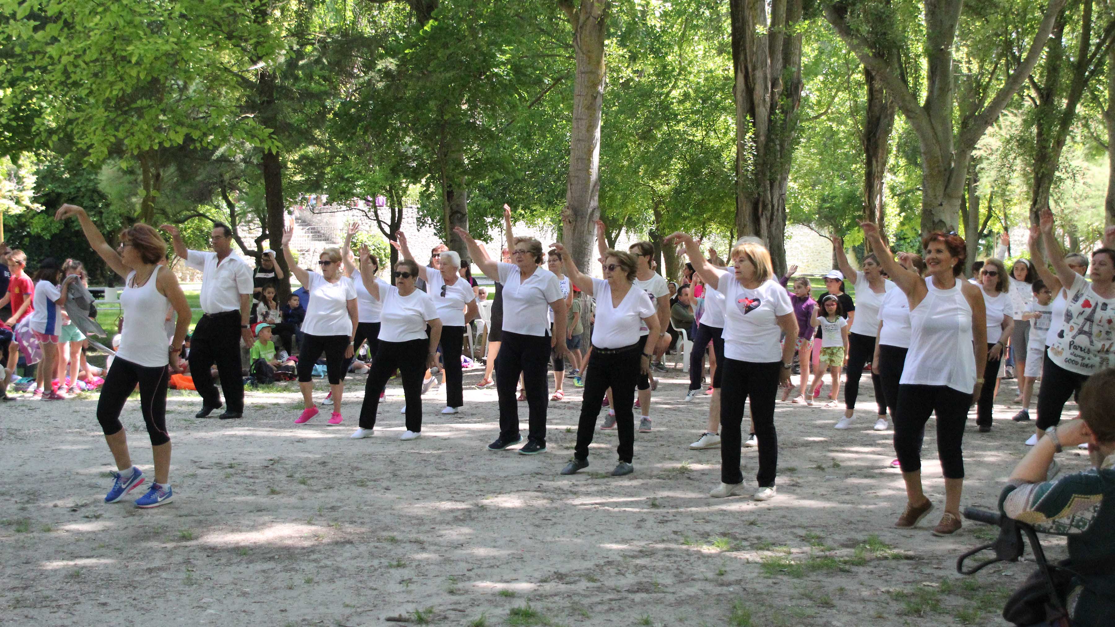 El martes 18 de junio tendrá lugar la jornada ‘Nos juntamos’ en el Parque de la Huerta del Duque./ c. n