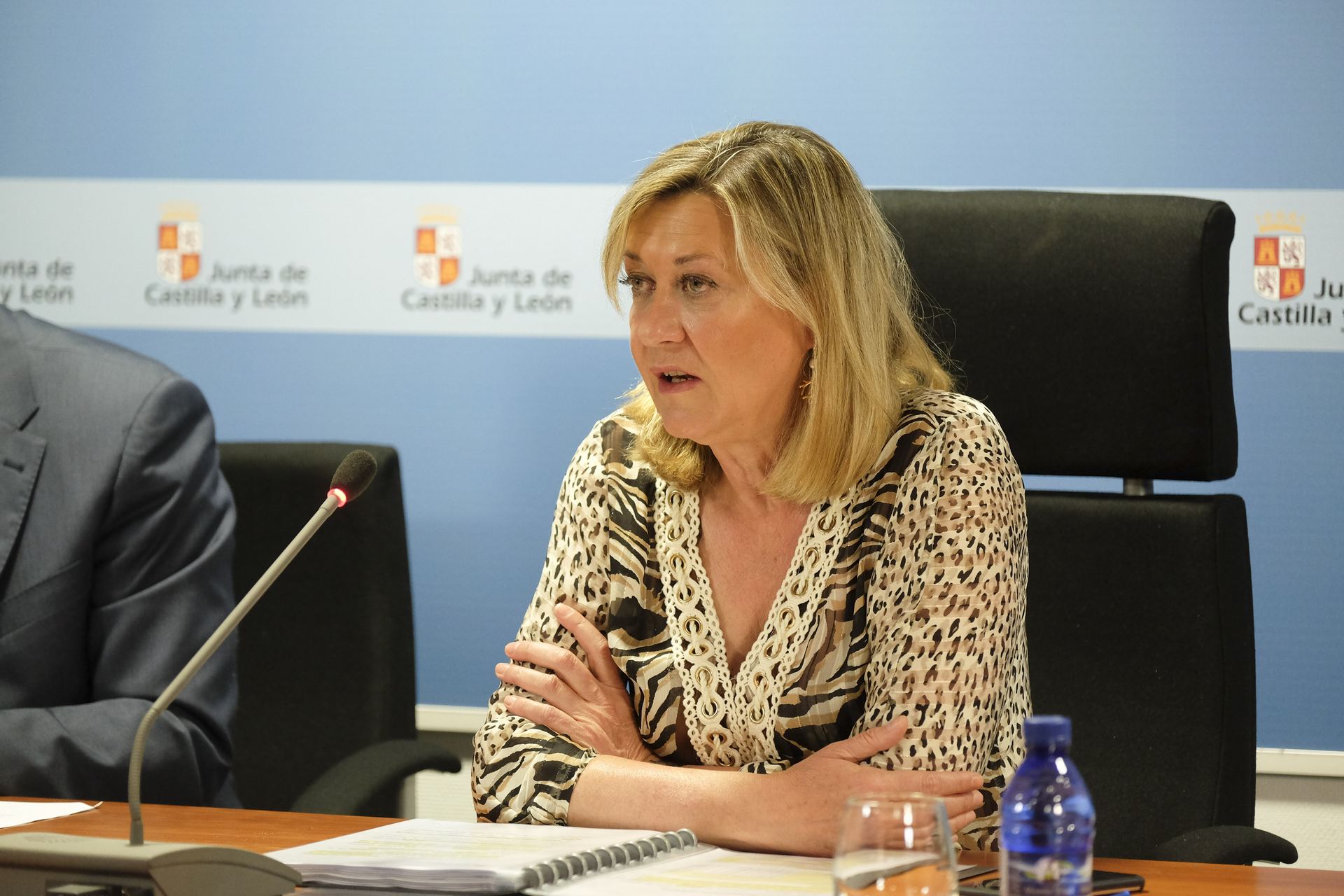 La consejera en funciones de Economía y Hacienda, Pilar del Olmo, durante la rueda de prensa. / jcyl