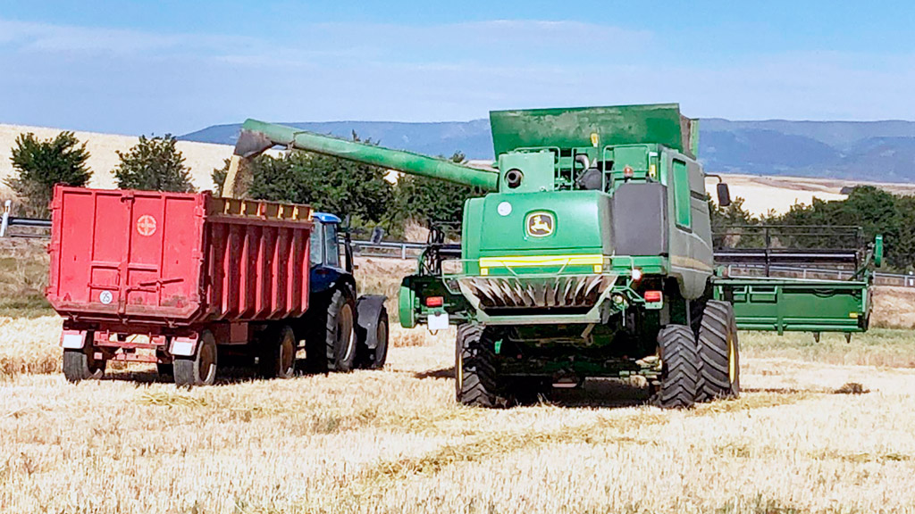 Una cosechadora de cereal hace unos días cerca de Segovia.