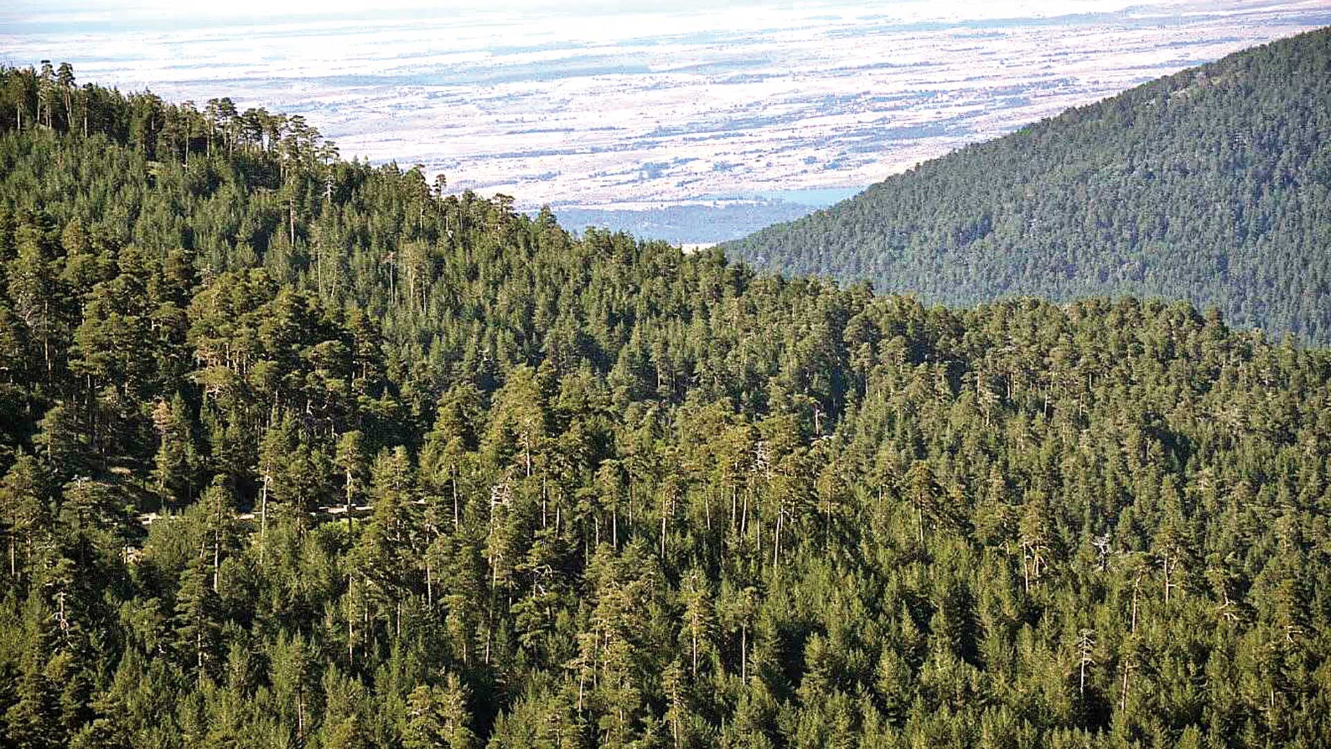 Sierra de Guadarrama.