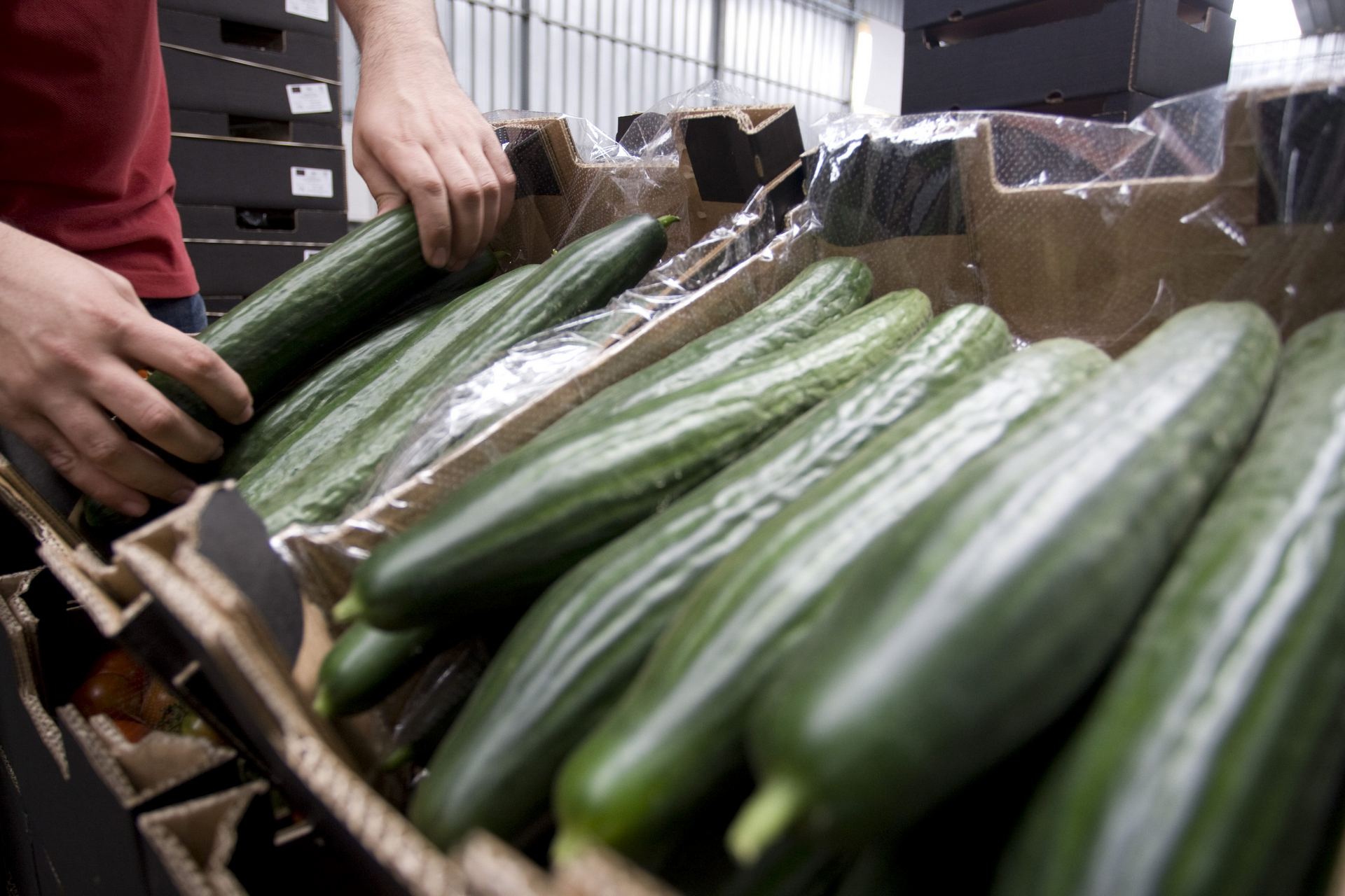 En el marco de la Operación Opson VIII la Guardia Civil realizó más de 2.500 controles e inspecciones.