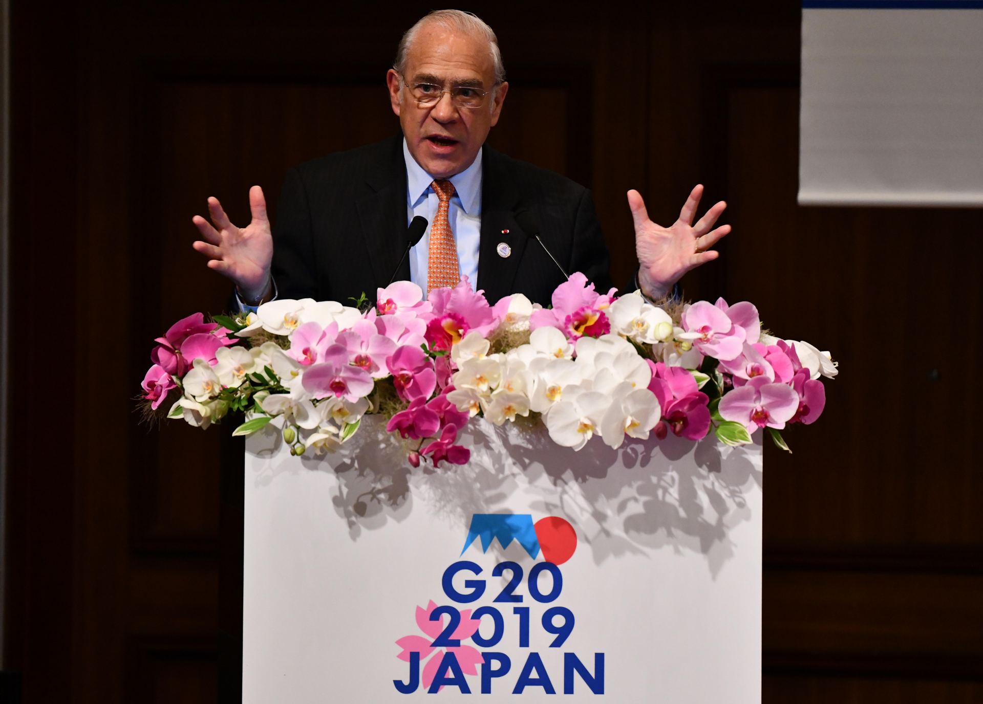 El Secretario General de la Organización para la Cooperación Económica y el Desarrollo, Ángel Gurria. / Europa press