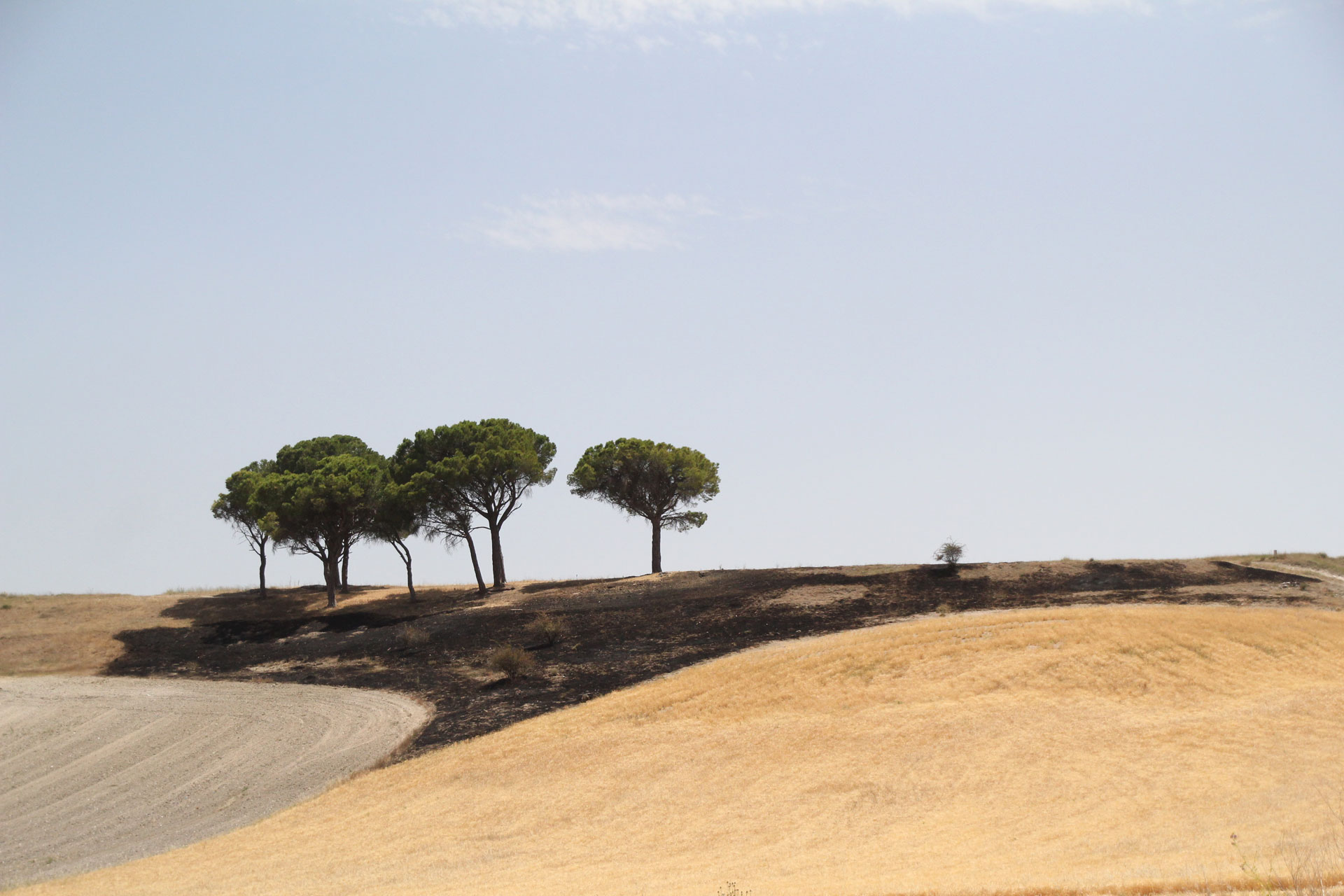 incendio las lomas 2