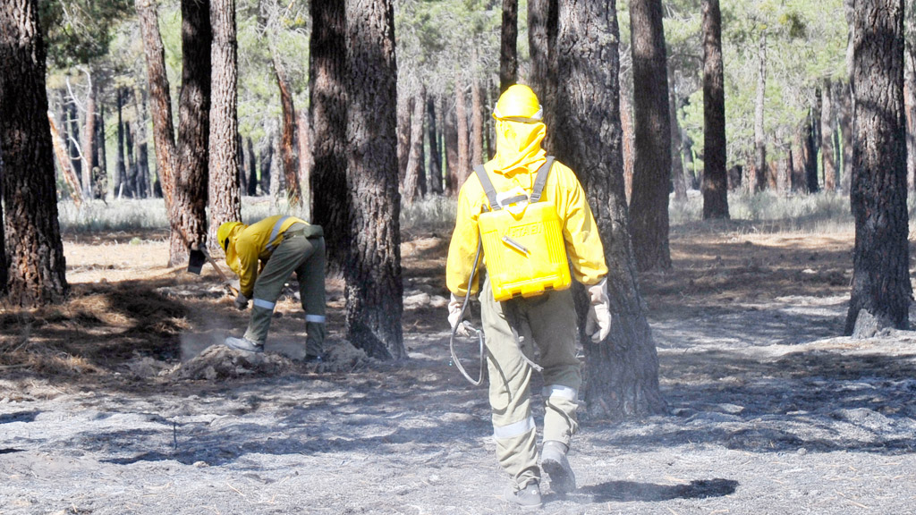 La UCCL pide precaución ante el inicio de la campaña de incendios 1 Imagen de la extinción de un incendio. / kamarero
