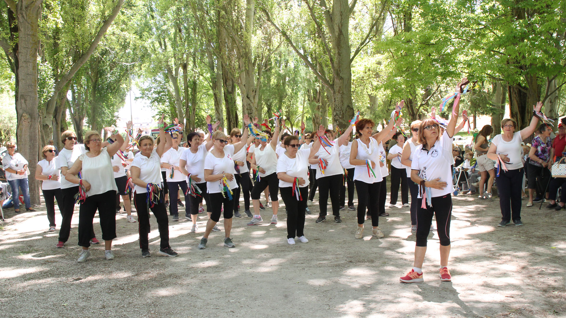 Jornada de convivencia en el Parque de la Huerta del Duque de Cuéllar./ C. Núñez