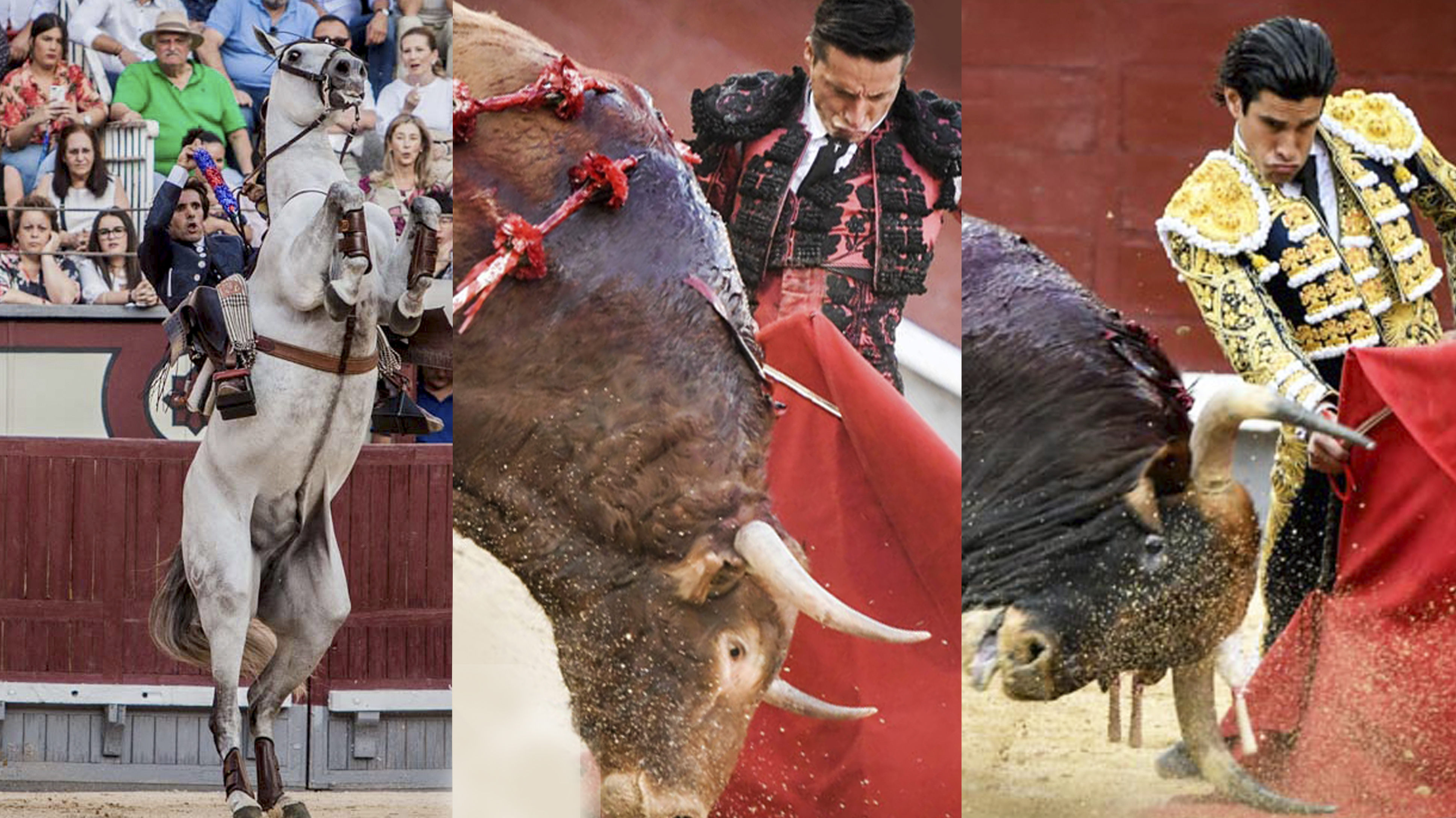 Diego Ventura, Diego Urdiales y López Simón, en la última feria de San Isidro. / PLAZA 1