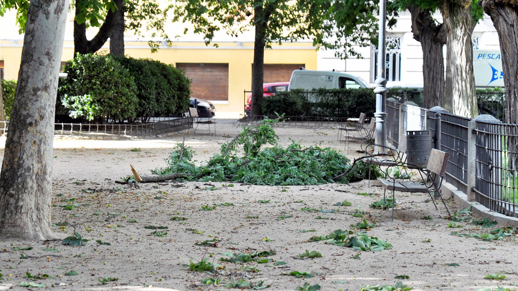 viento rama caida los huertos kam3356