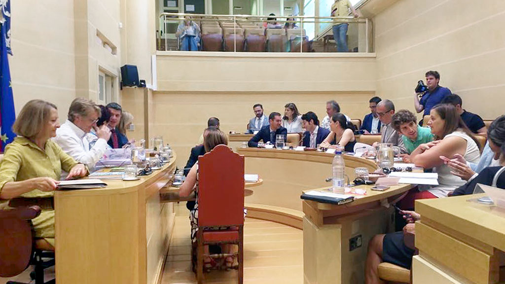 Imagen de la sesión plenaria extraordinaria celebrada en el Ayuntamiento de Segovia. / El Adelantado