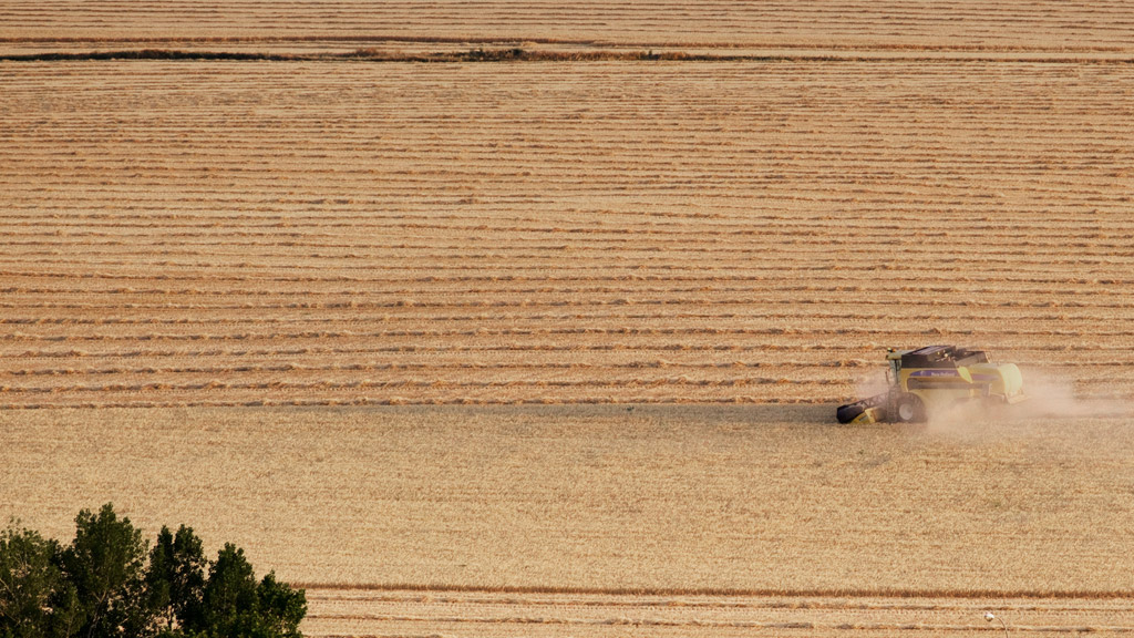 Una cosechadora trabajando en las inmediaciones de Segovia capital, donde comenzaron los trabajos de recogida del cereal hace unos días. / kamarero