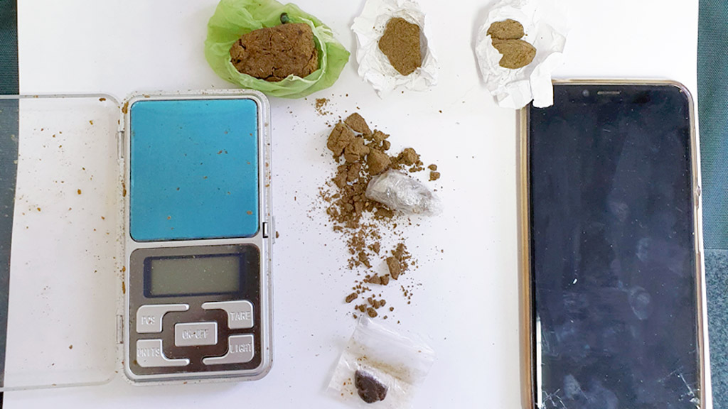 Sustancias incautadas a los detenidos en El Espinar. / el adelantado