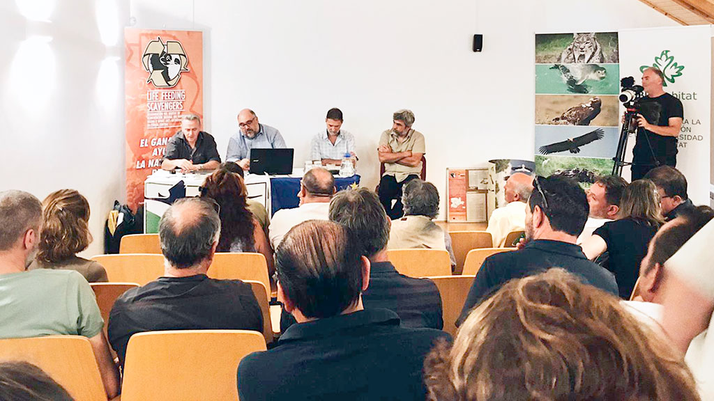 Gracias a esta iniciativa colaborativa, miles de aves necrófagas han podido recuperar su hábitat y forma de alimento natural. / E. A.