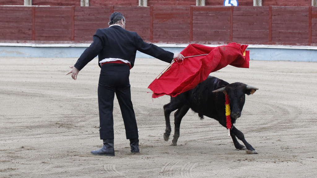 11 1nerea becerrada camarer